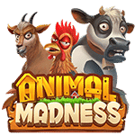 Animal Madness