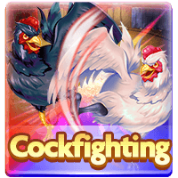 Cockfighting